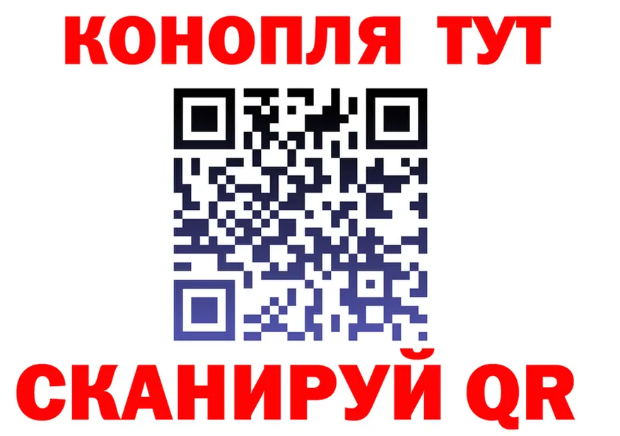 МЯУ-МЯУ 4 MMC ТОР это kraken Благовещенск